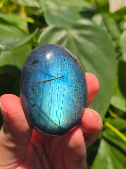 Labradorite Palm Stone "E"