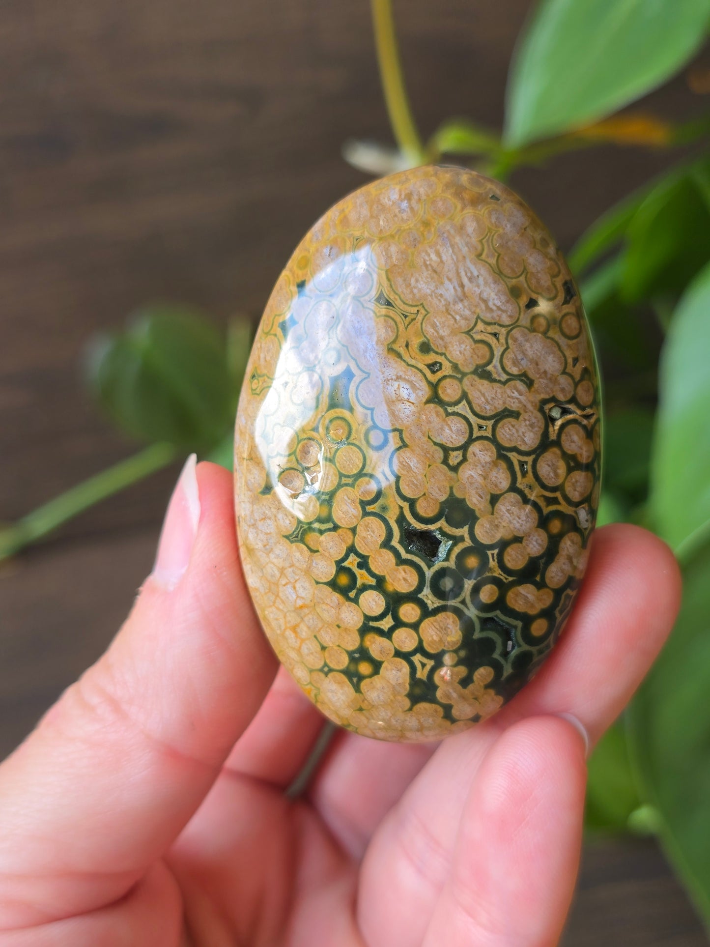 8th Vein Ocean Jasper Palm Stone