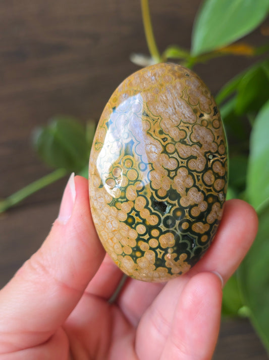 8th Vein Ocean Jasper Palm Stone