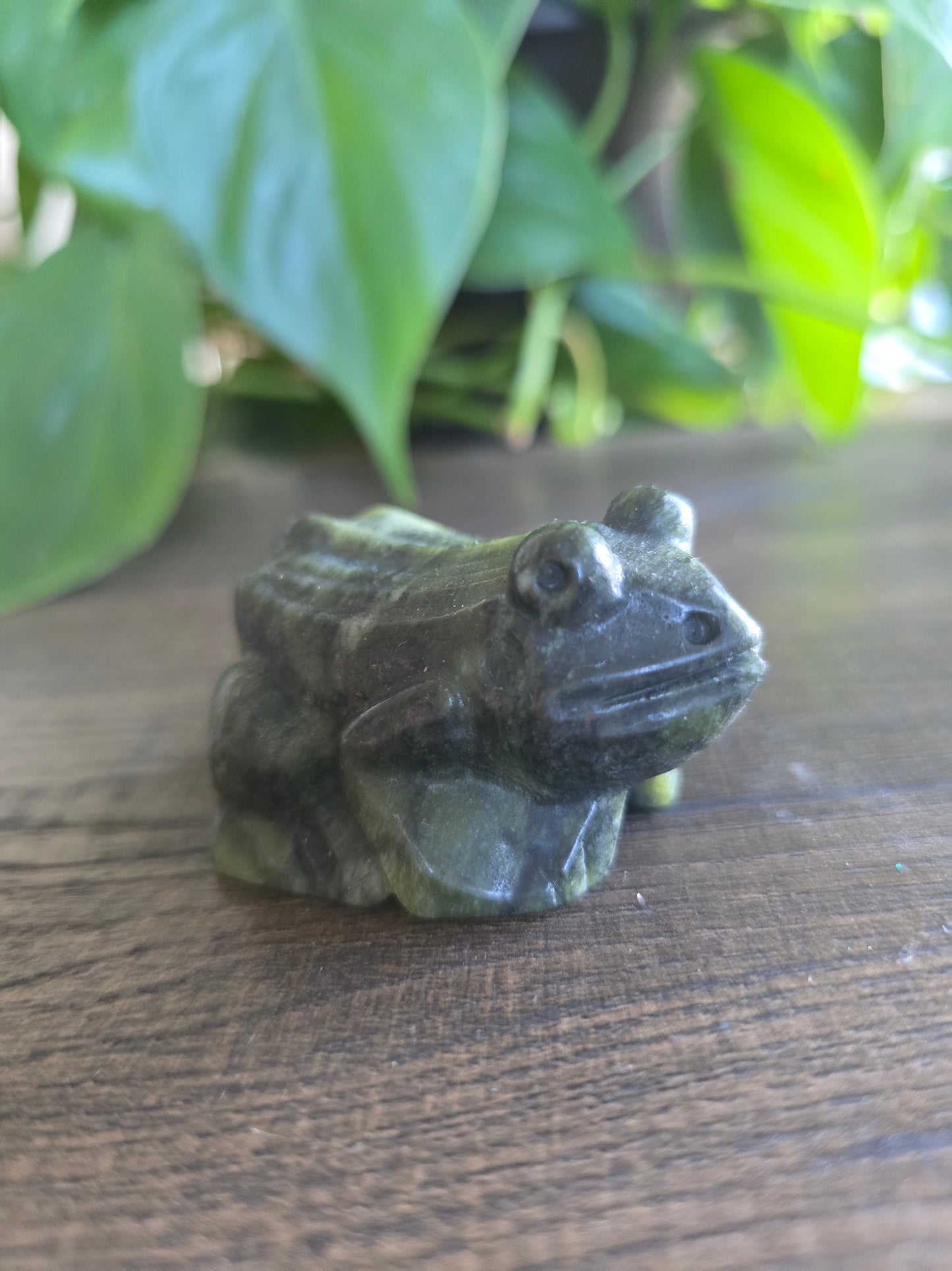 Serpentine Frog Carving