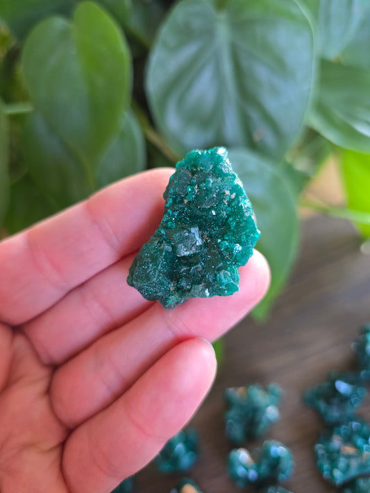 Dioptase Rough Specimen - Congo (37)