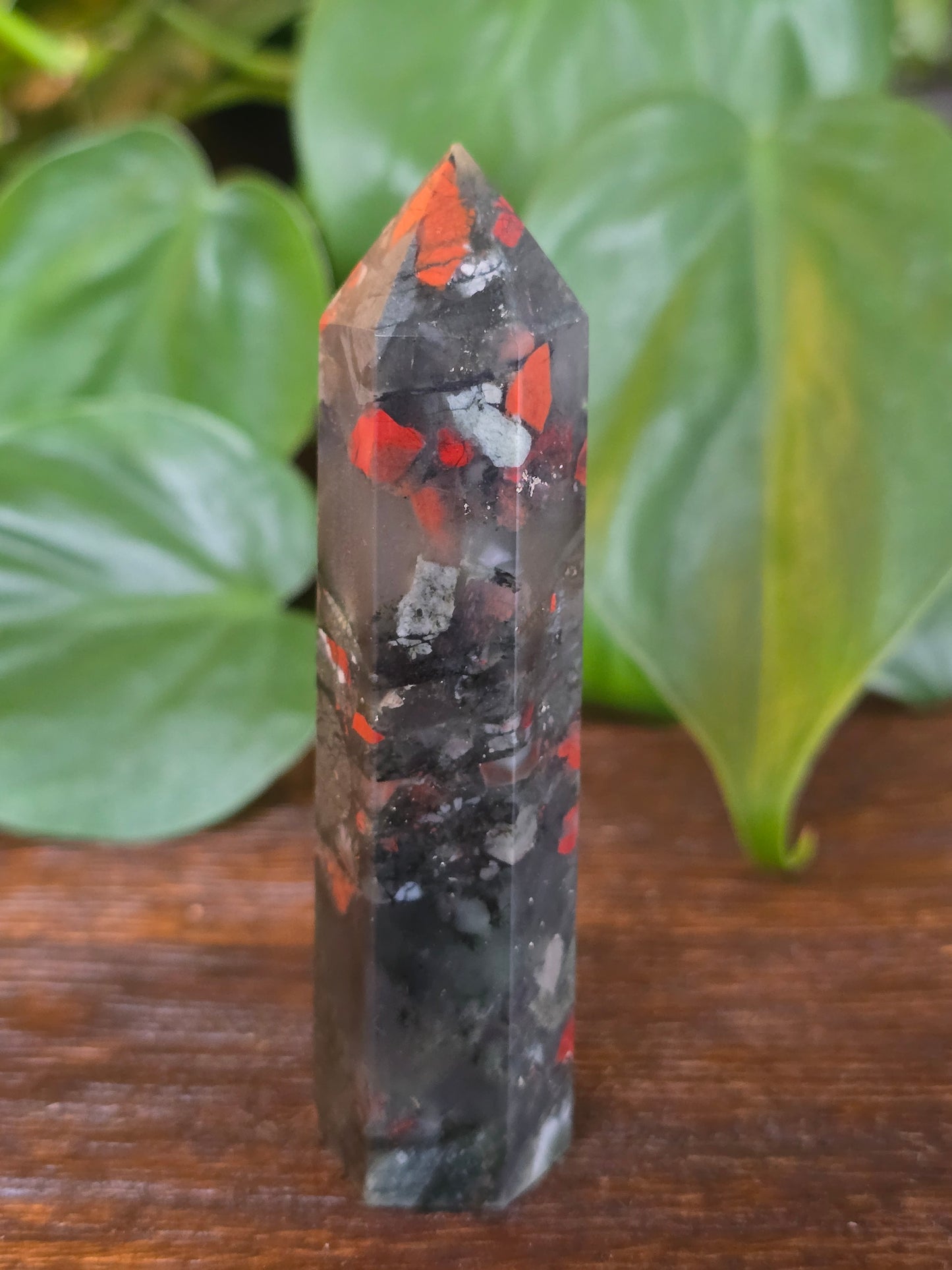 African Bloodstone Point "E"