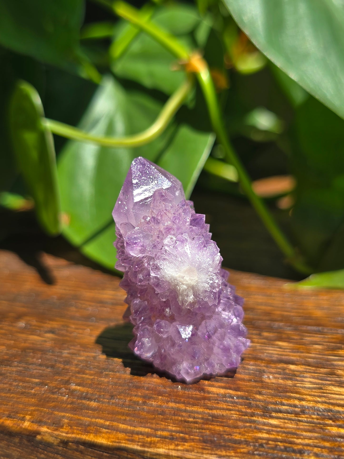 Amethyst Spirit Cactus Quartz Crystal Specimen "A"