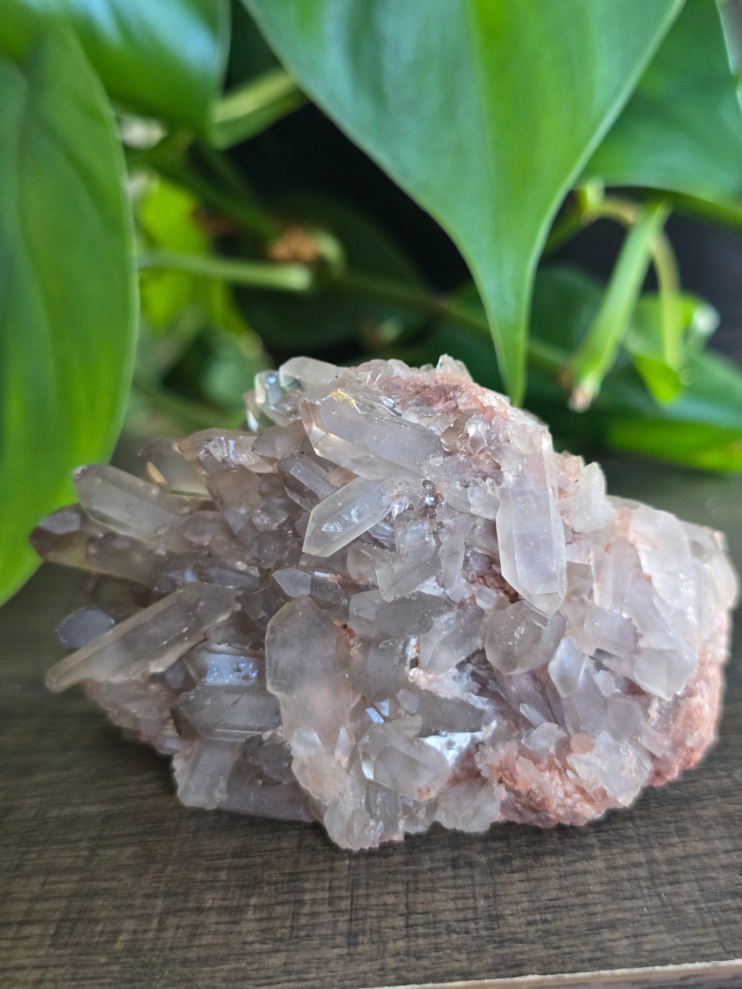 Smoky Quartz Cluster