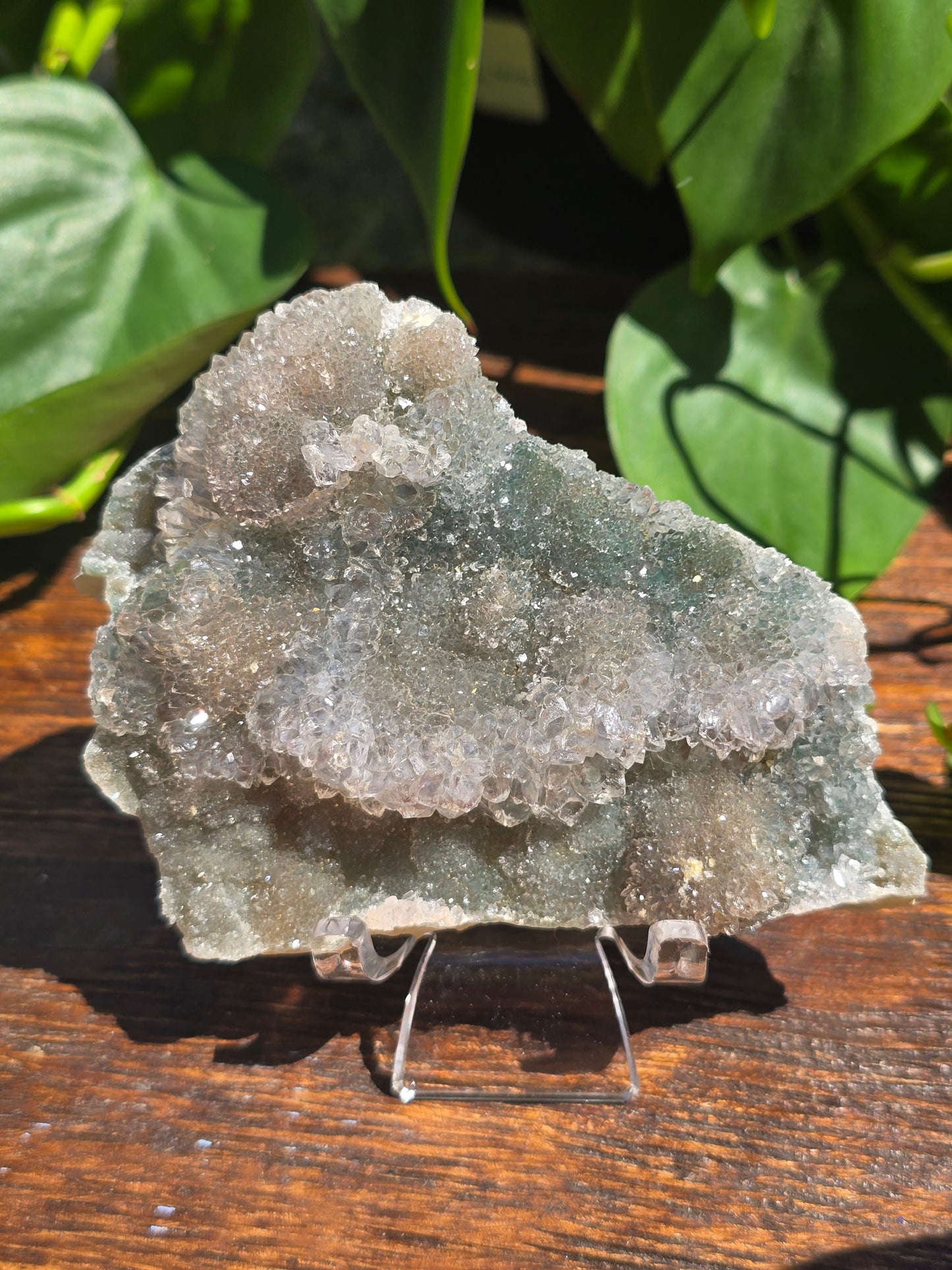 Brazilian Impression Amethyst Plate