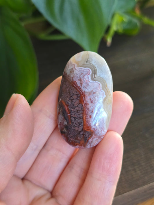 Red Mexican Crazy Lace Agate Palm Stone