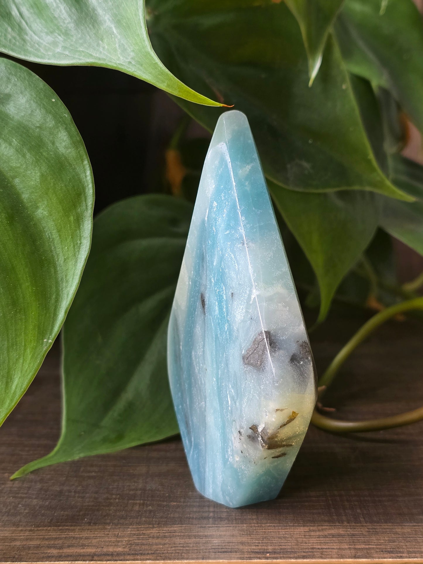 Caribbean Calcite Flipper