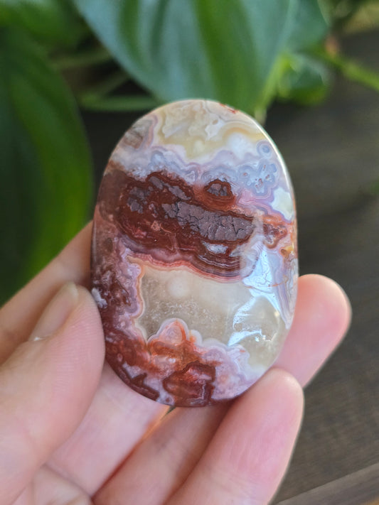 Red Mexican Crazy Lace Agate Palm Stone