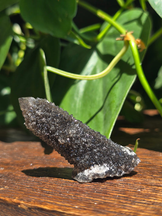 Smoky Black Spirit Quartz Specimen "E"