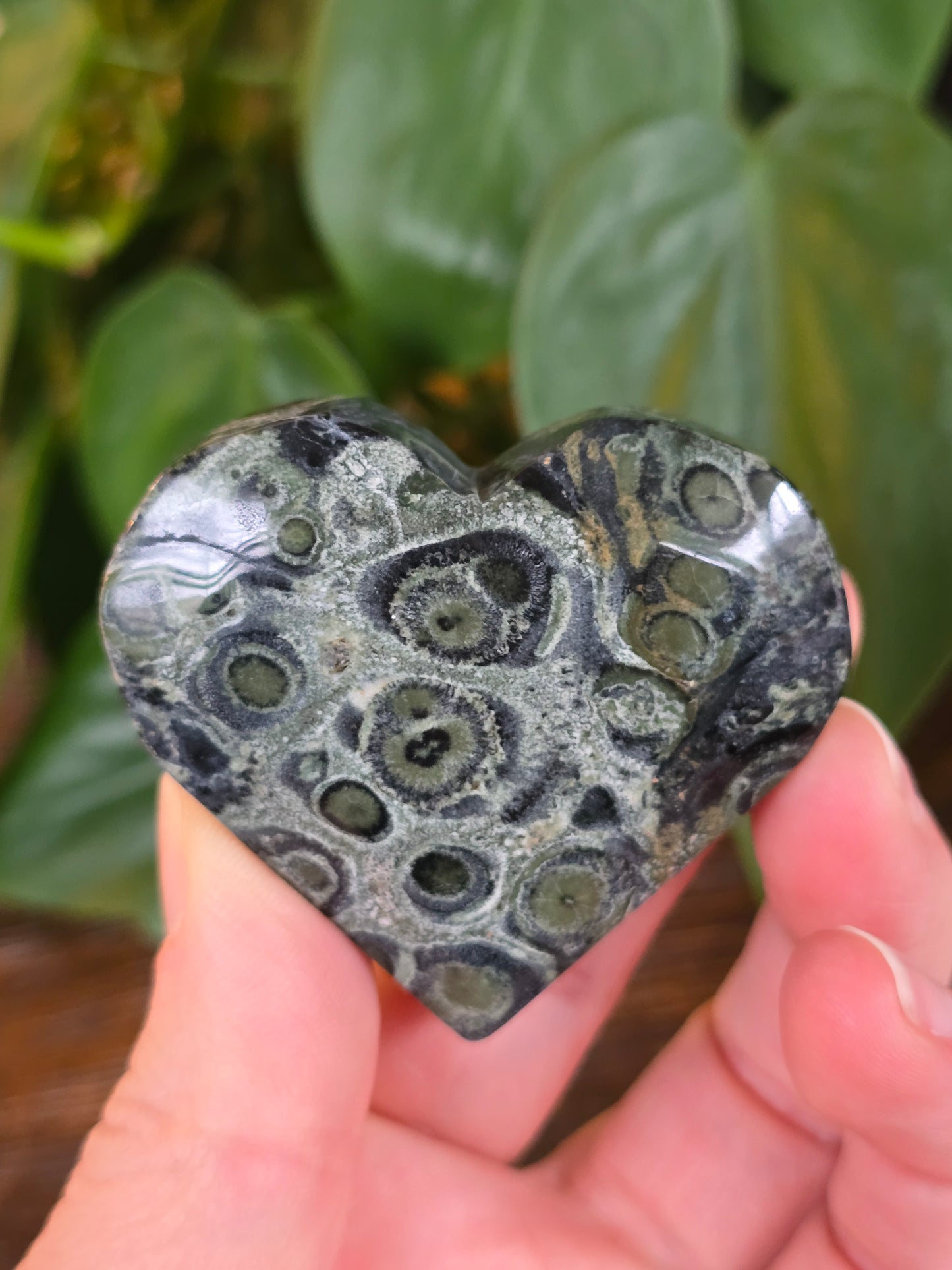 Kambaba Heart "B"