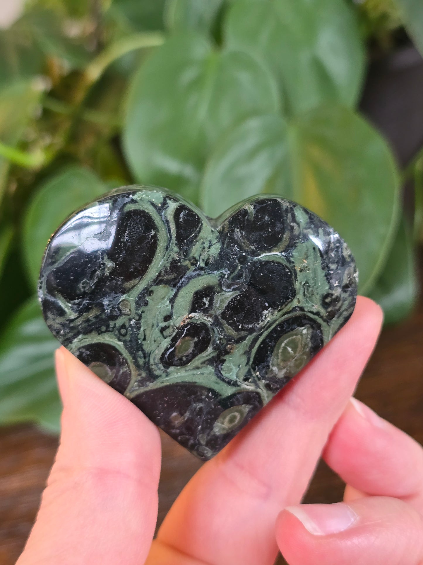 Kambaba Heart "E"