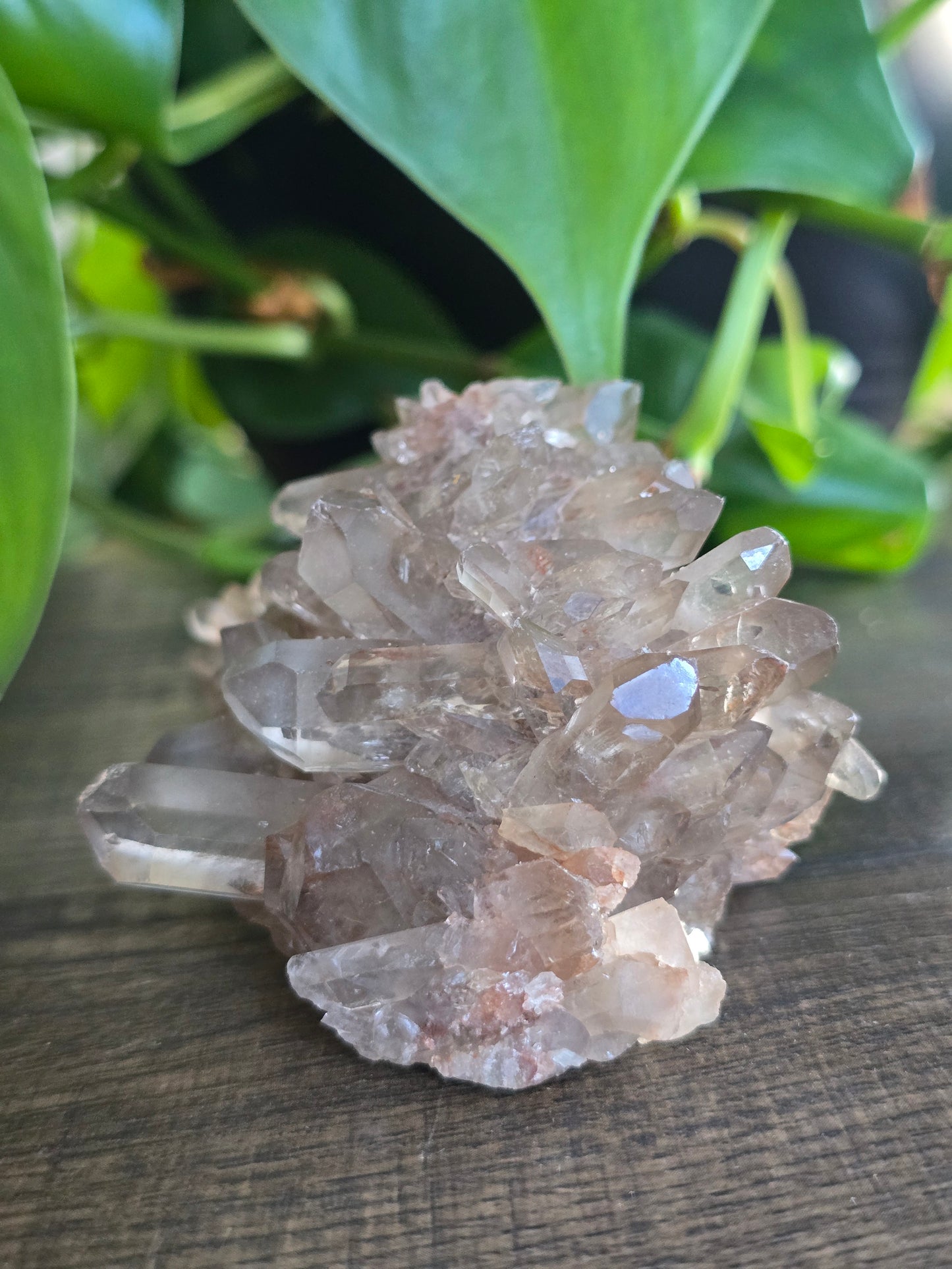 Smoky Quartz Cluster
