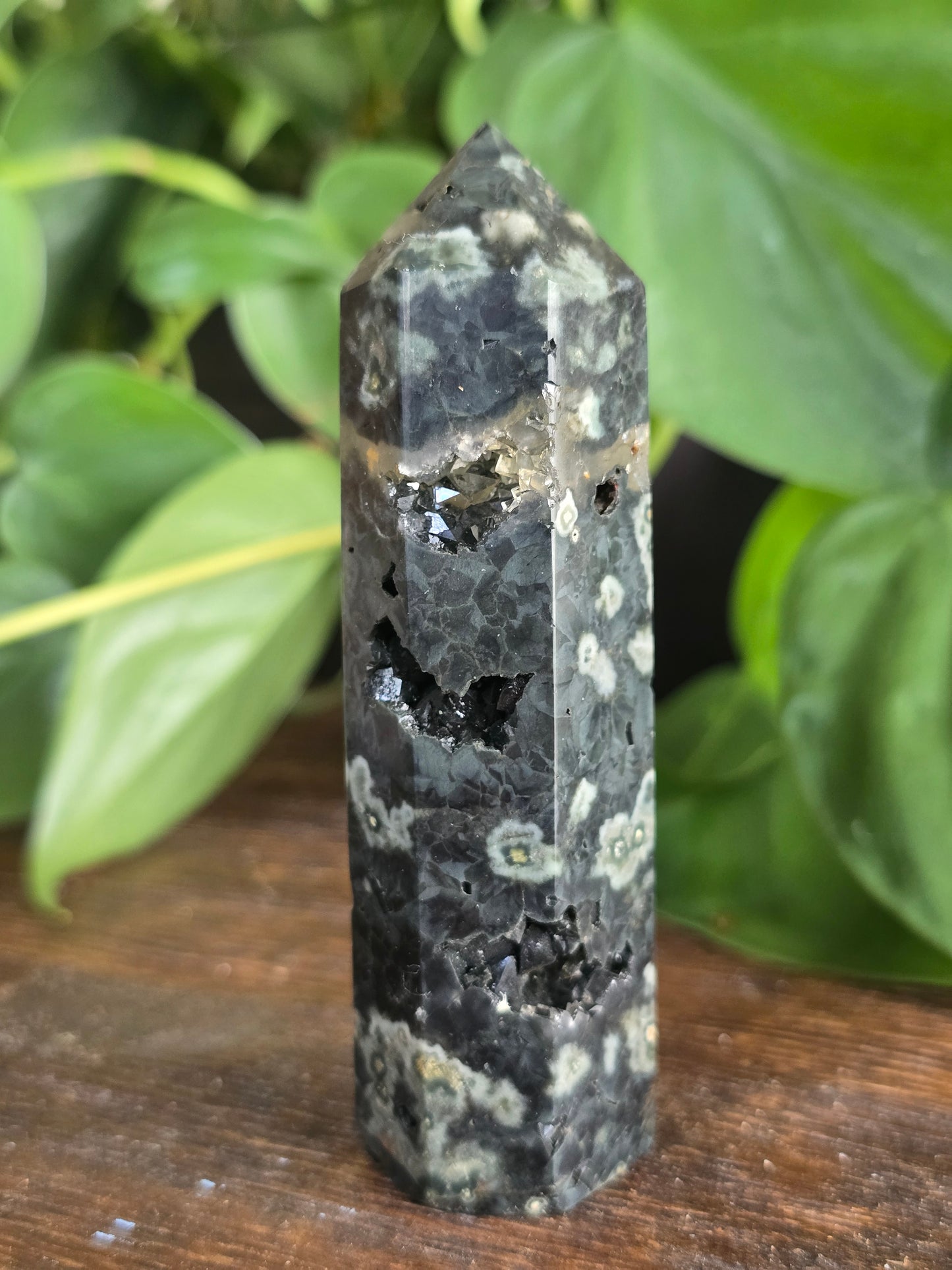 Green Ocean Jasper Tower "B"