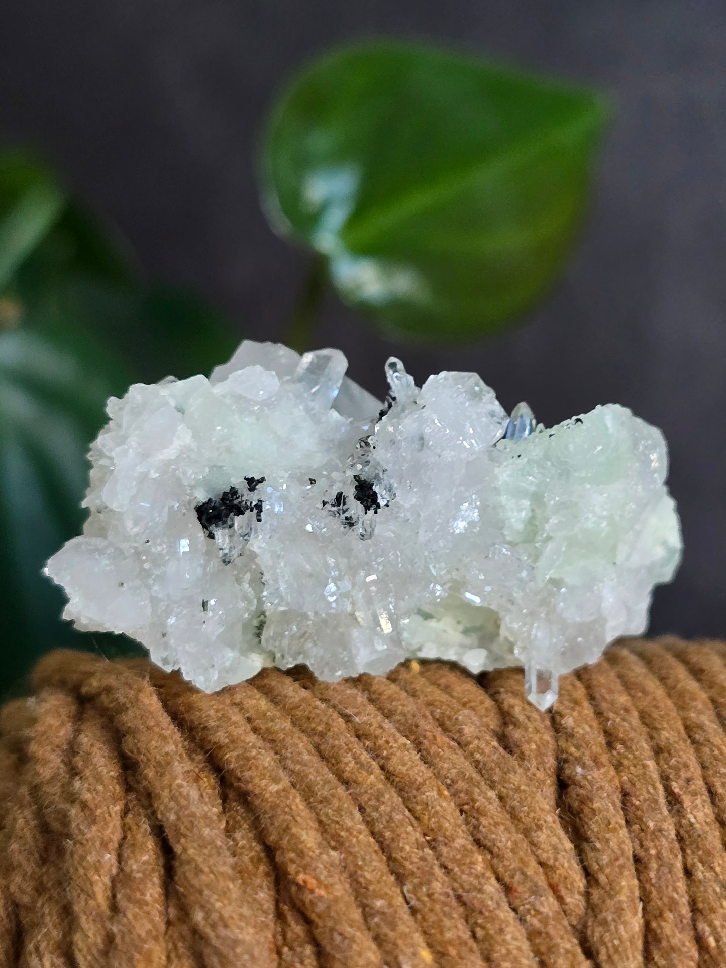 Prehnite and Epidote on Quartz Matrix