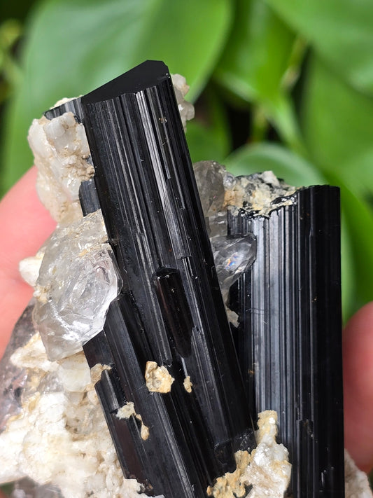 High Quality Black Tourmaline on Quartz Matrix