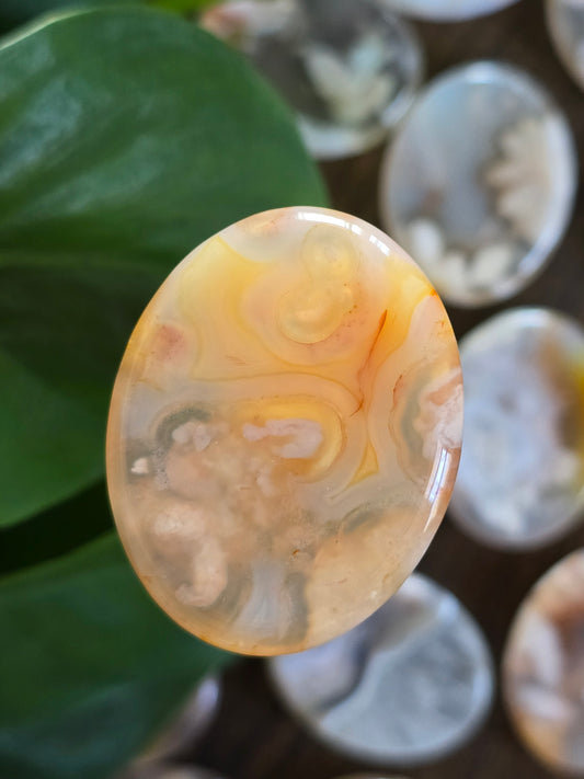 Flower Agate Worry Stone