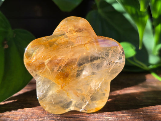 Golden Healer Flower Carving "E"