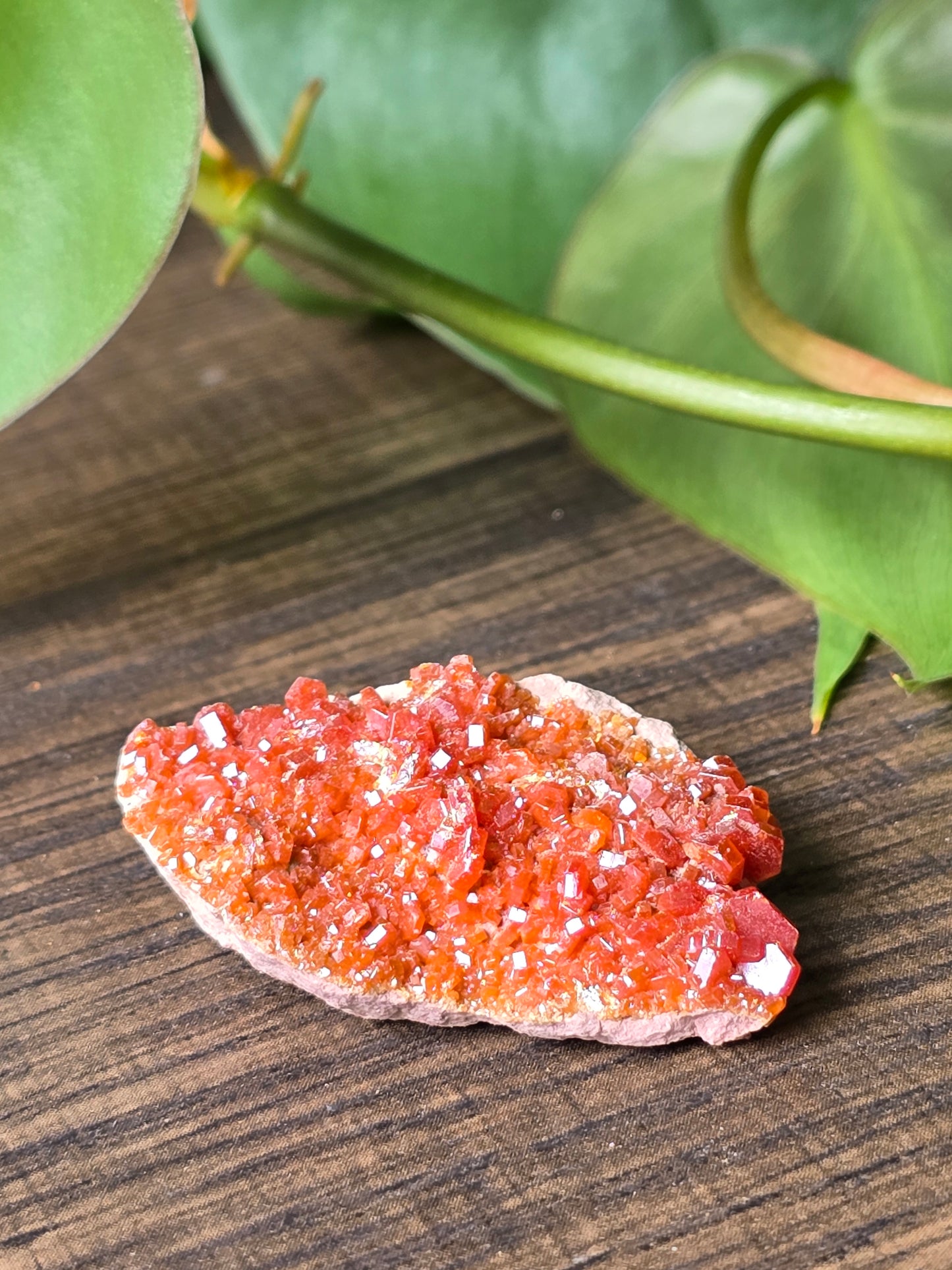 Vanadinite Cluster