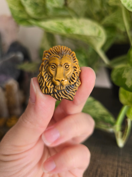 Tiger's Eye Lion Head