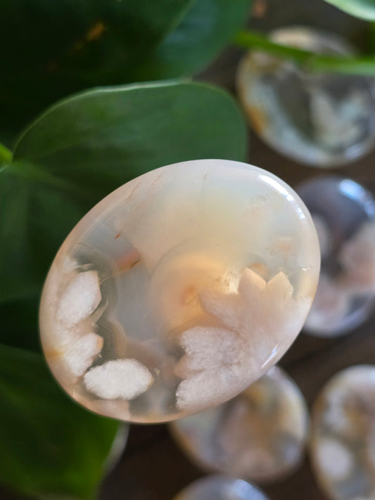 Flower Agate Worry Stone