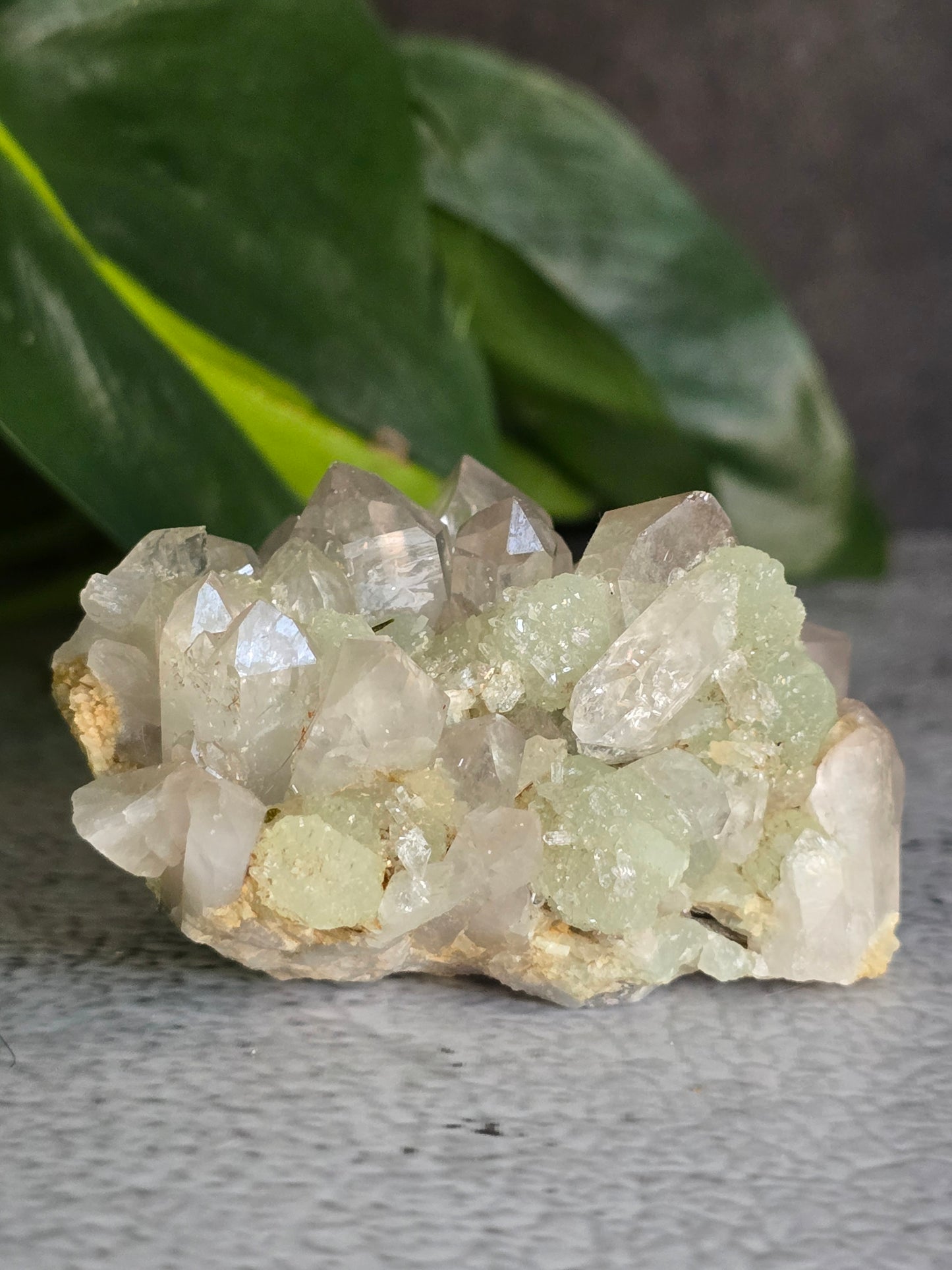 Prehnite and Epidote on Quartz Matrix