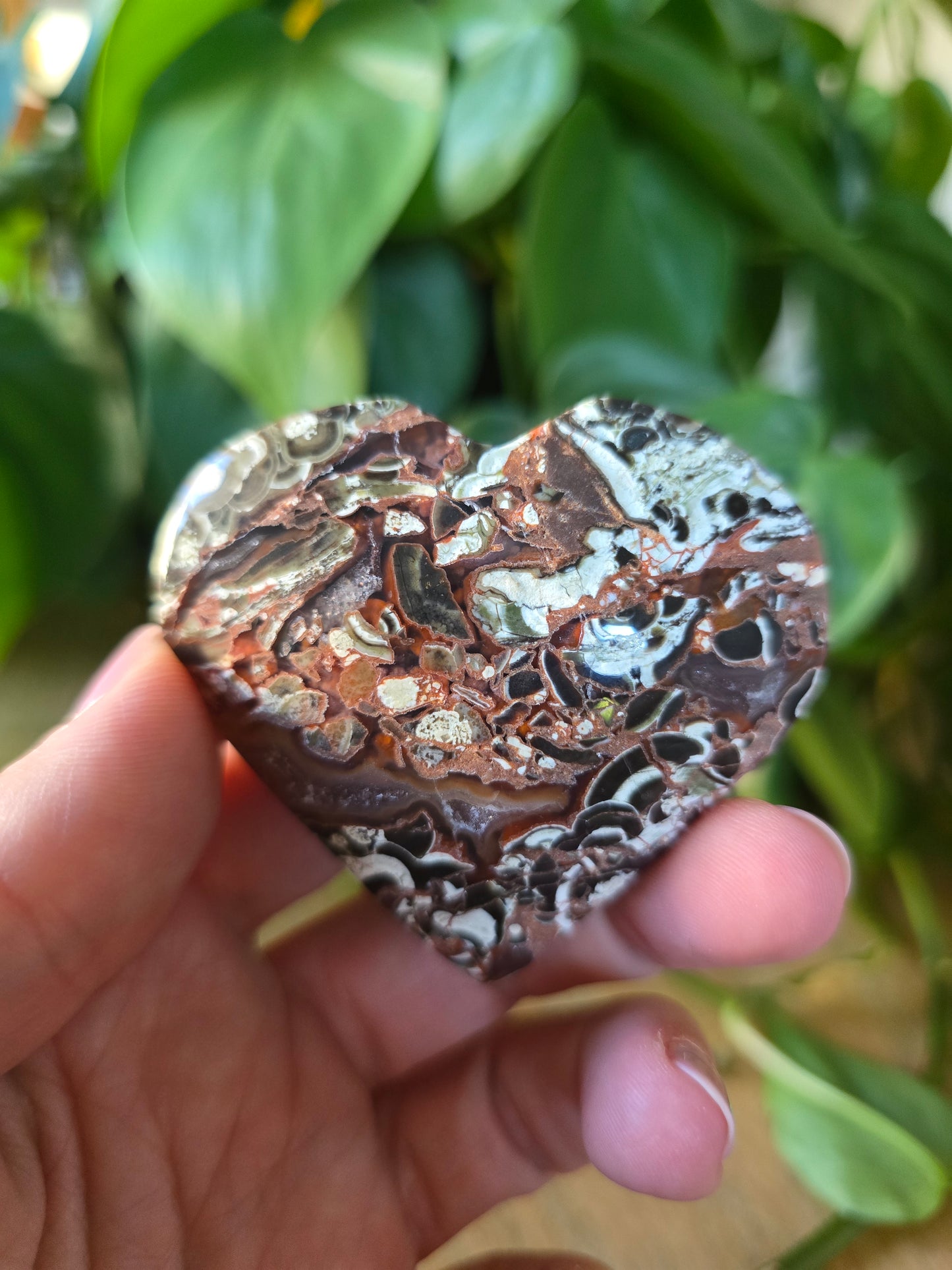 Money Agate Heart