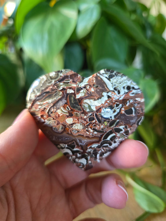 Money Agate Heart