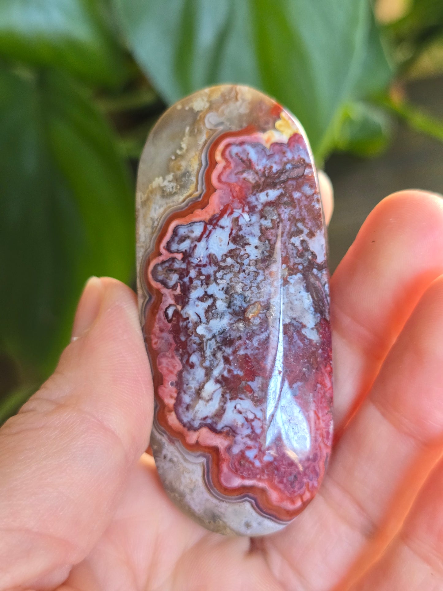 Red Mexican Crazy Lace Agate Palm Stone