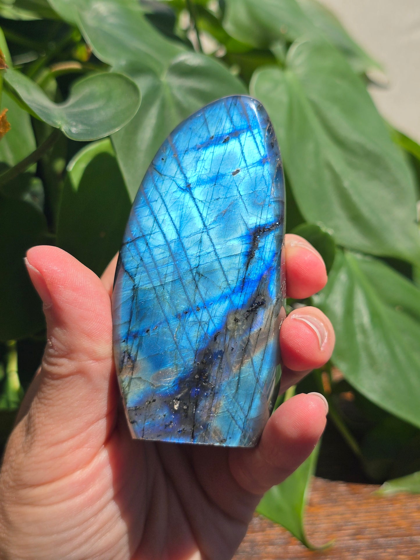 Labradorite Crystal Free Form Carving "D"