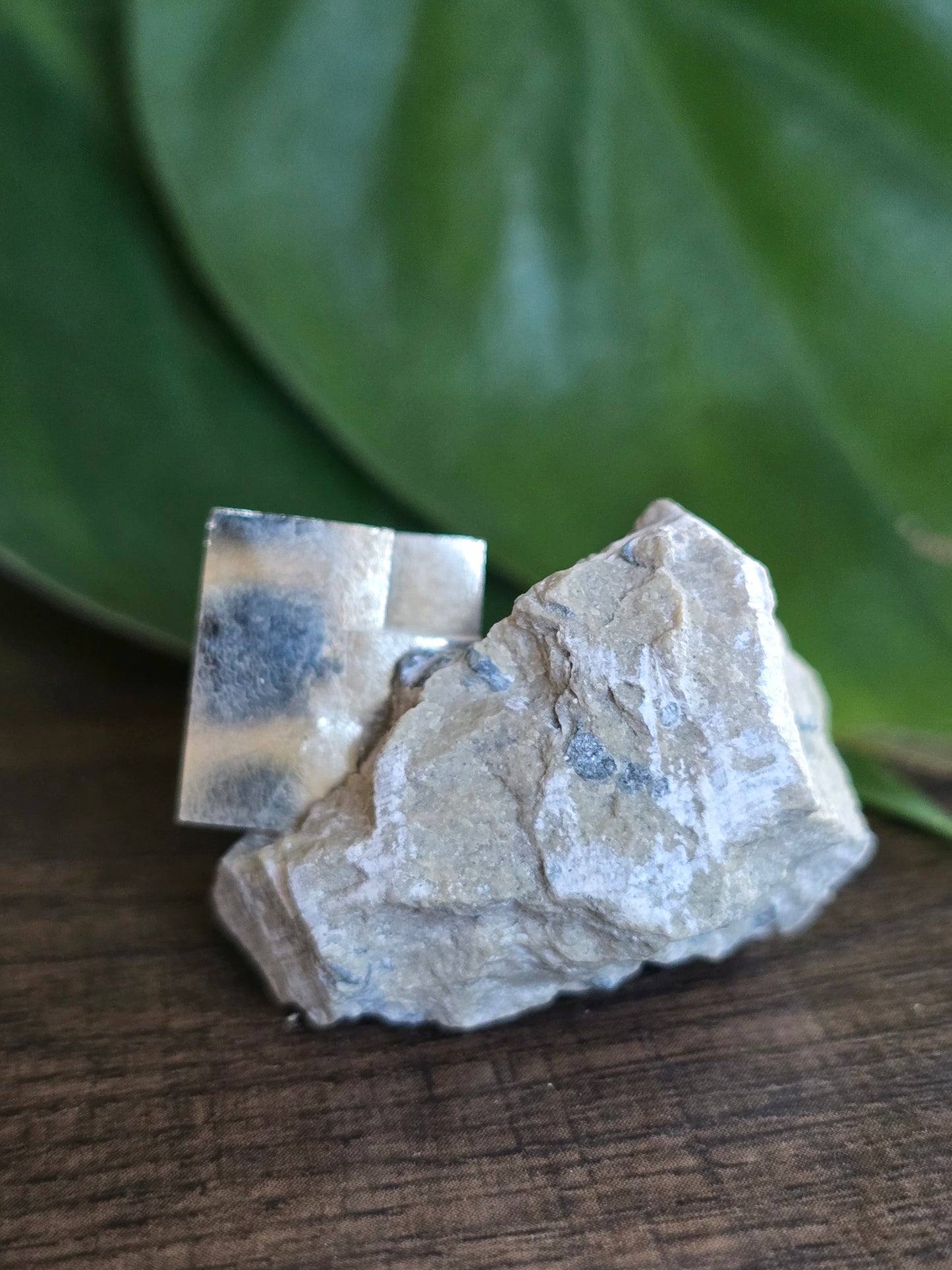 Pyrite Cube on Host Stone