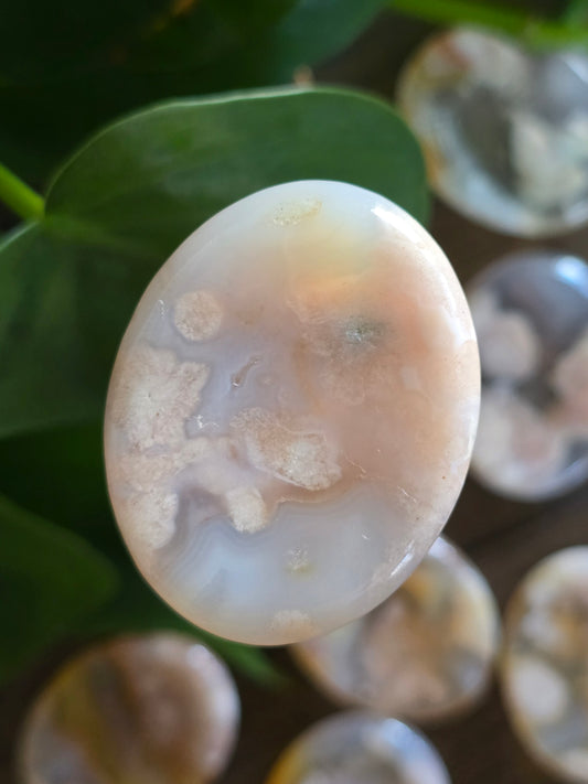 Flower Agate Worry Stone