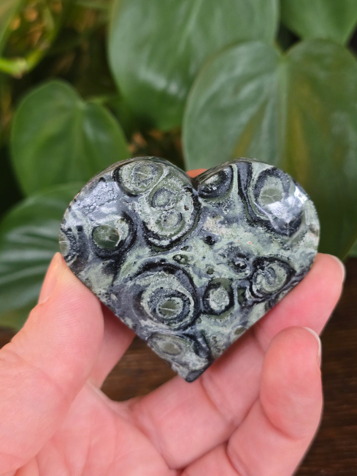 Kambaba Heart "C"