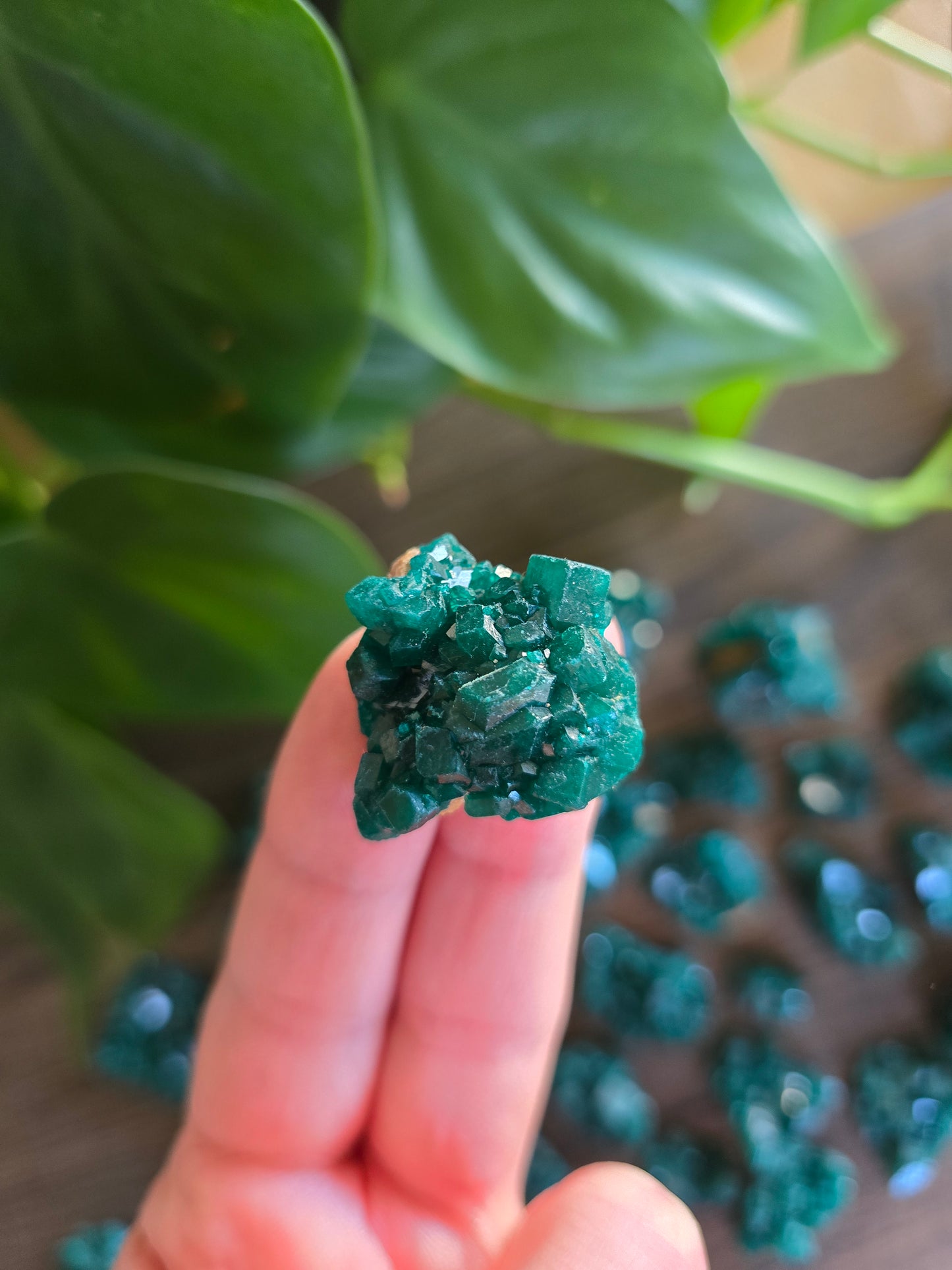 Dioptase Rough Specimen - Congo (1)