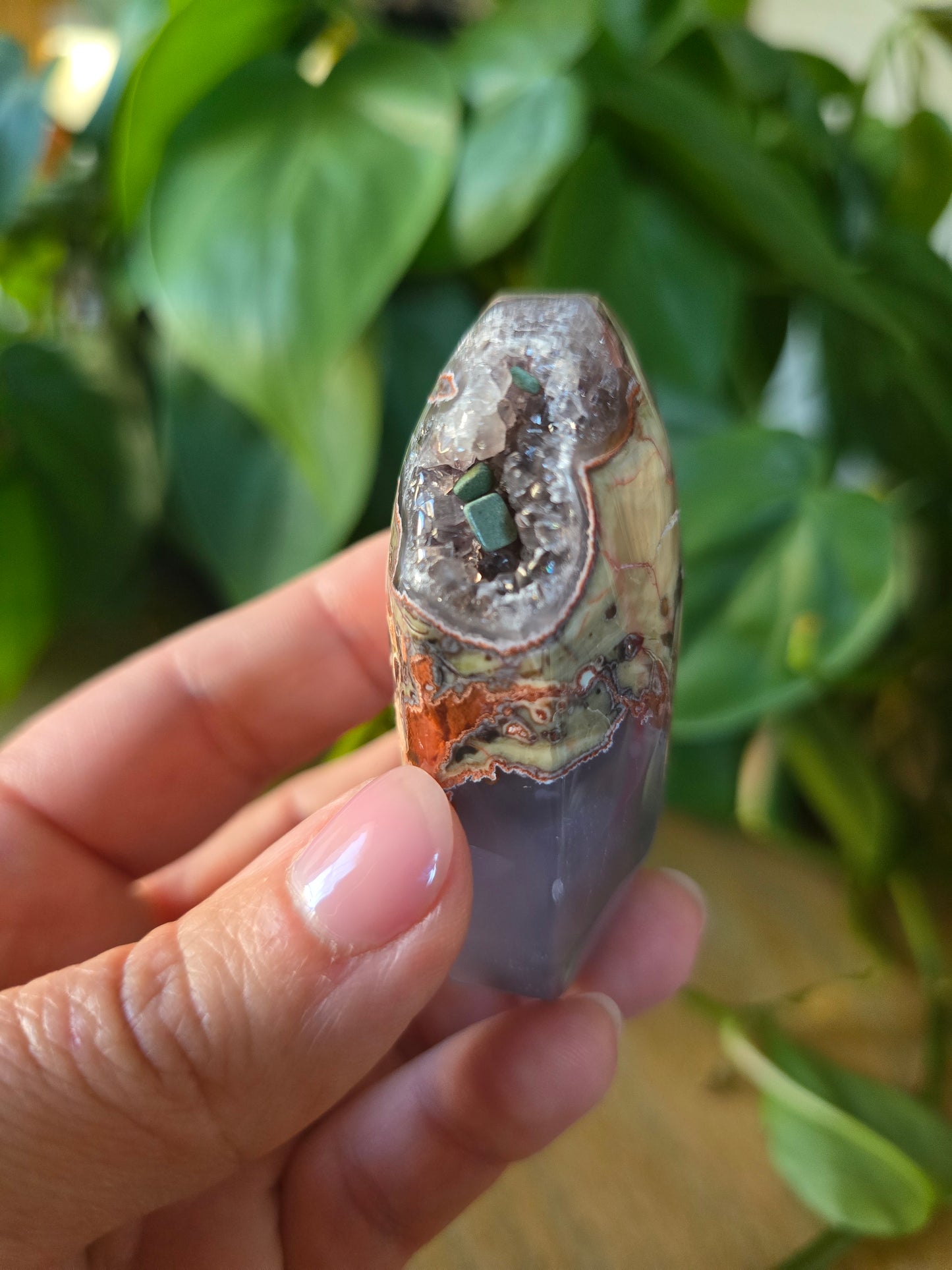 Money Agate Palm Stone