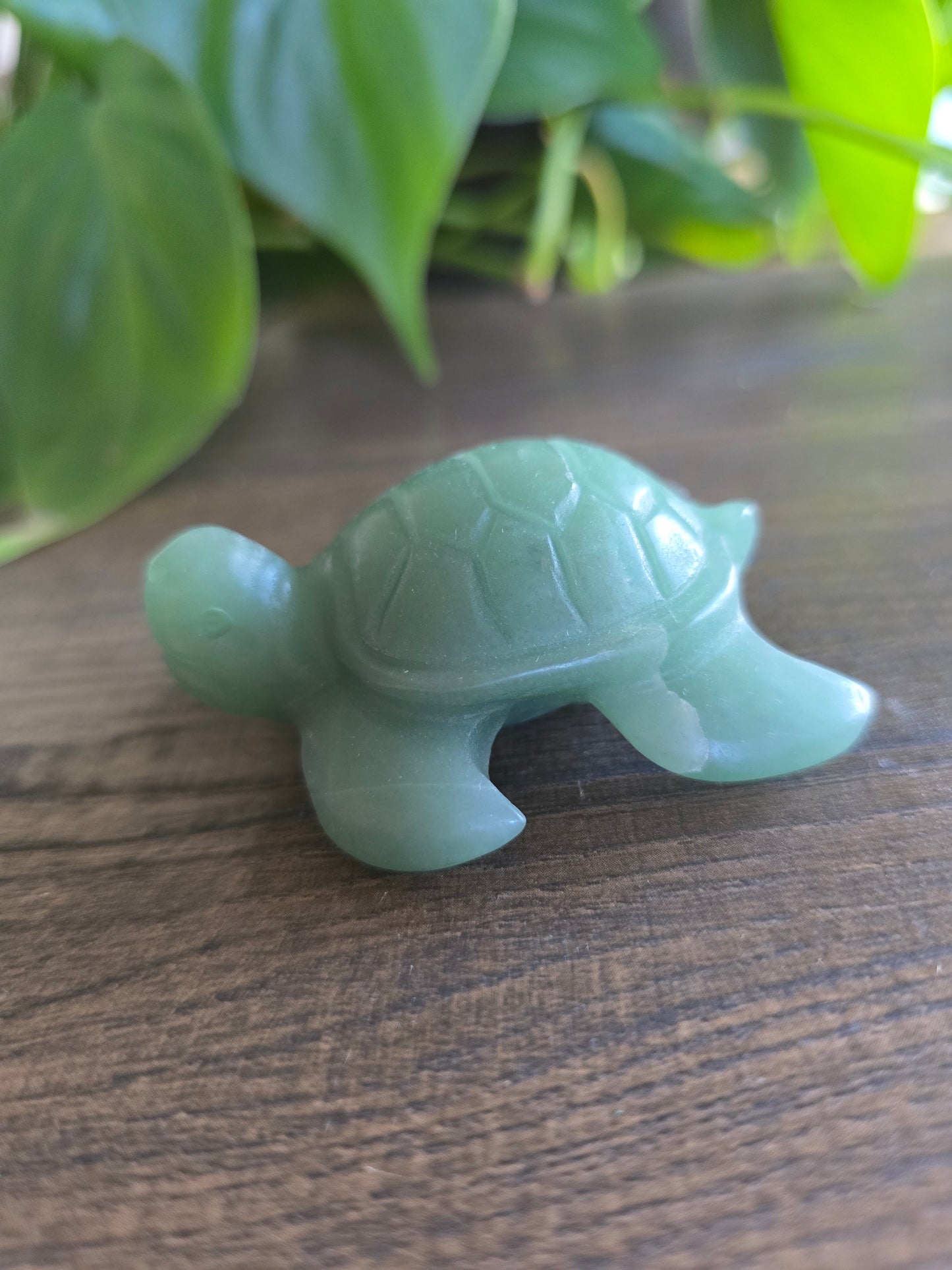 Green Aventurine Turtle Carving