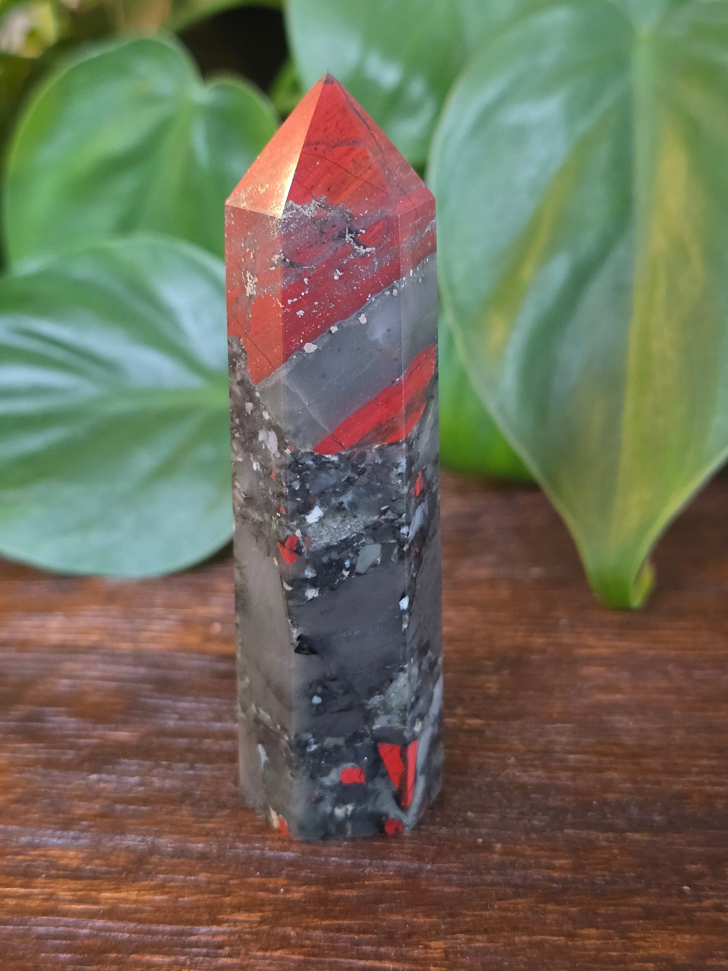 African Bloodstone Point "M"