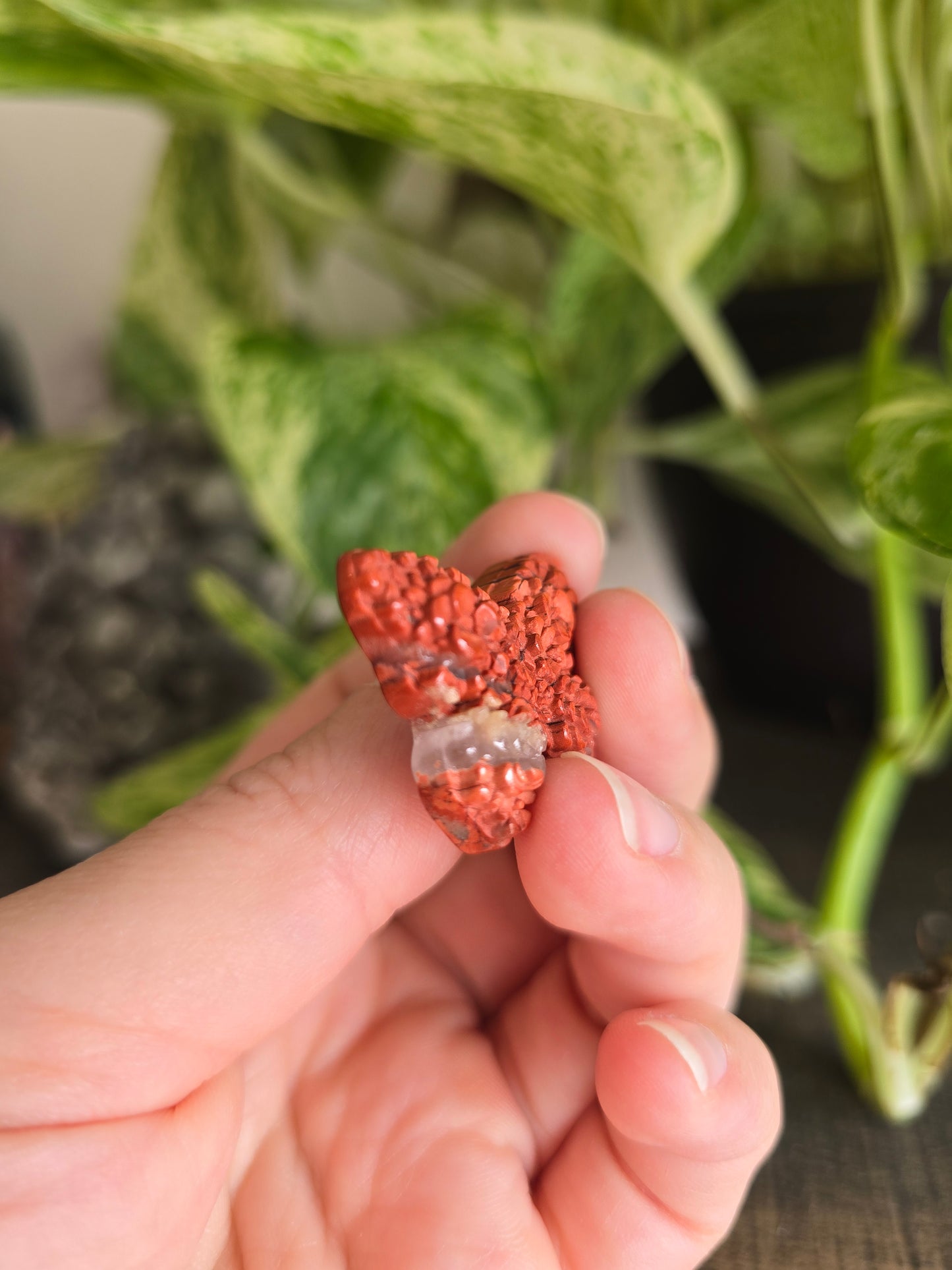 Red Jasper Flower Butterfly