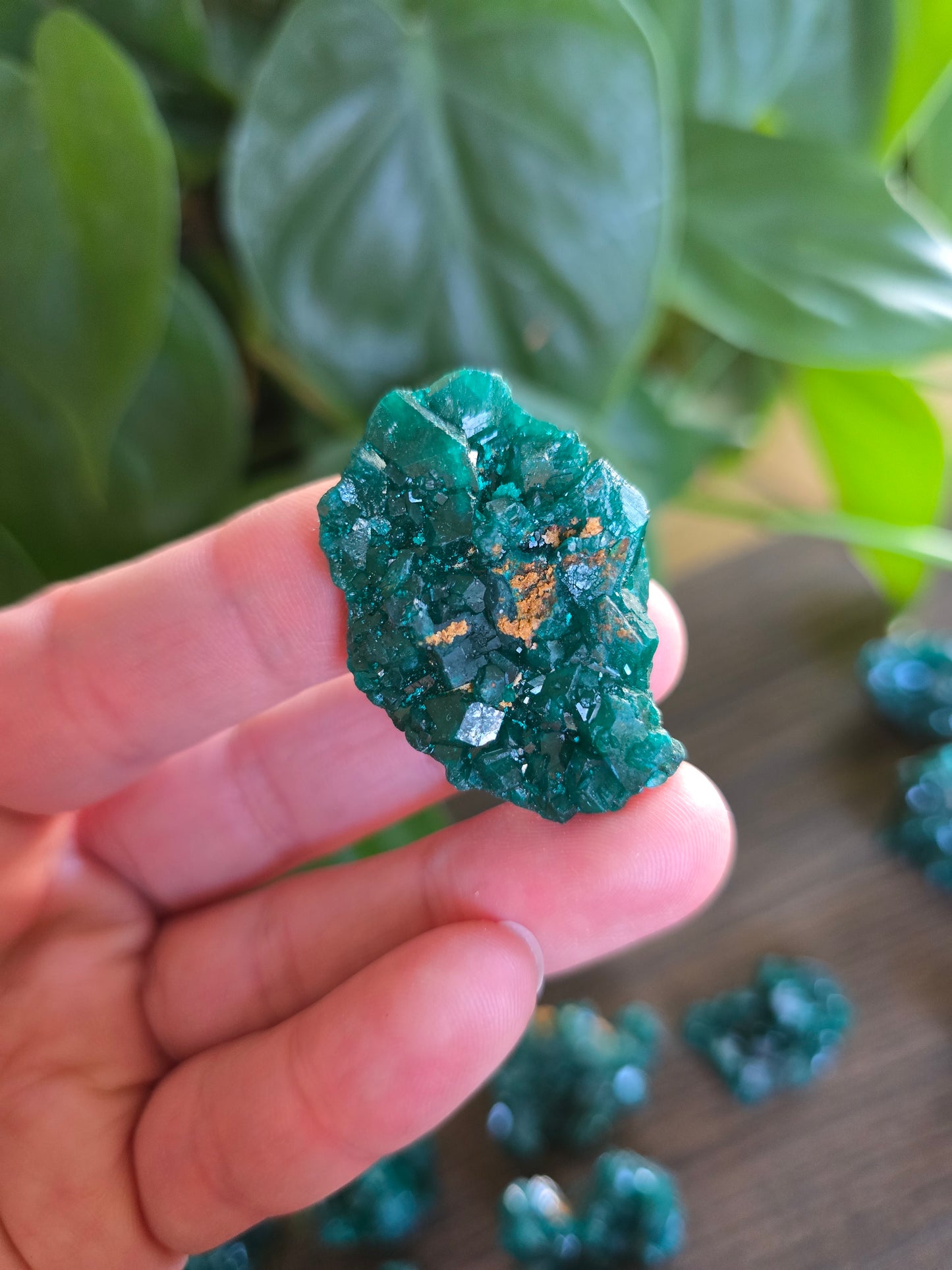 Dioptase Rough Specimen - Congo (20)
