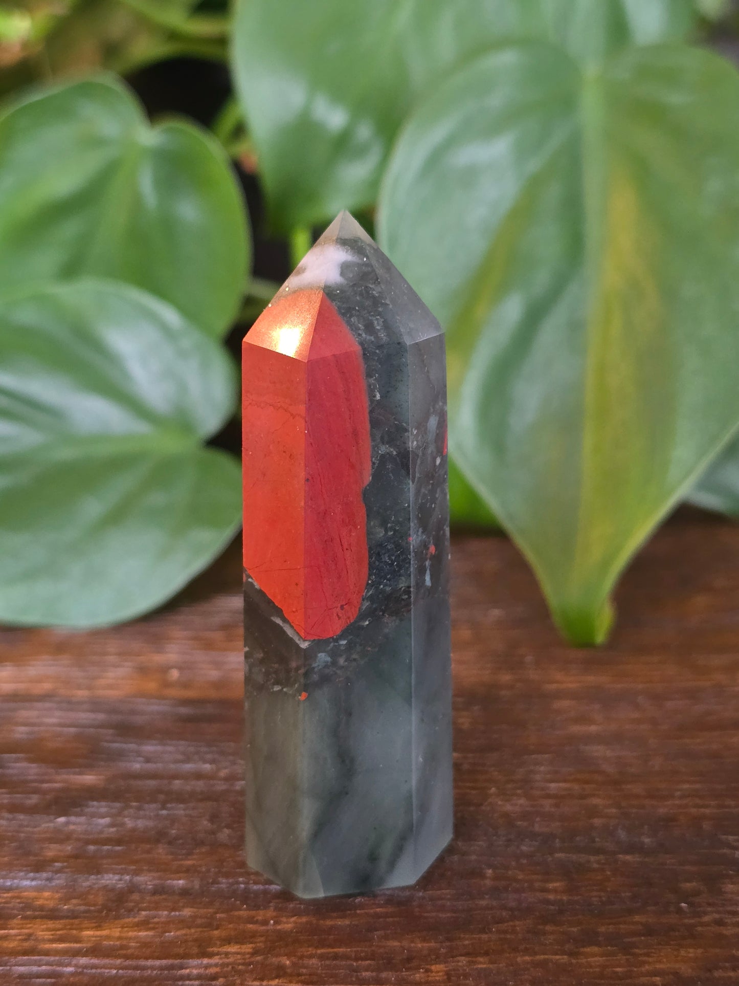 African Bloodstone Point "I"