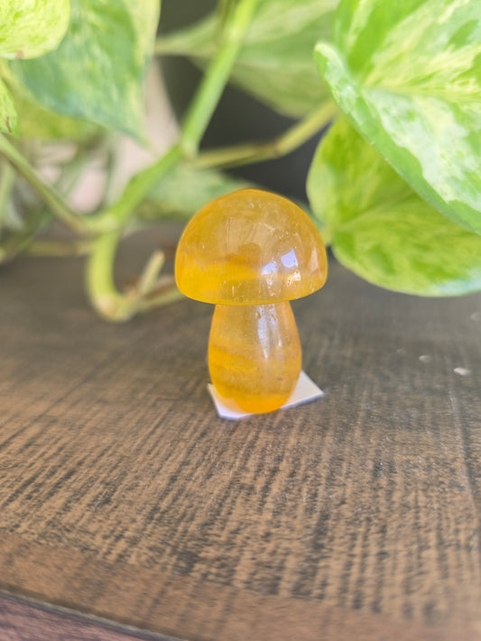 Fluorite Mushroom Carving