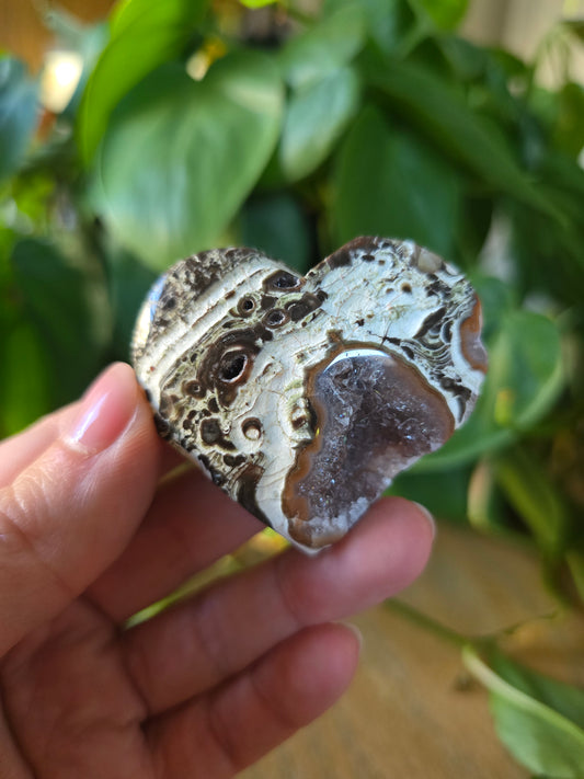 Money Agate Heart