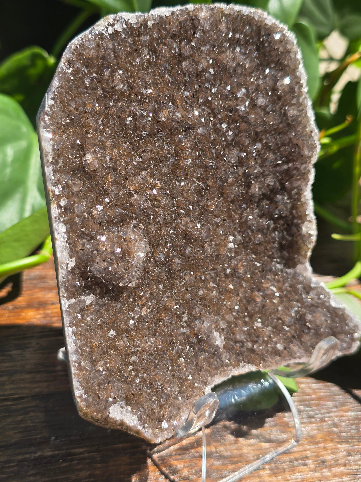 Brazilian Black/Brown Amethyst Plate