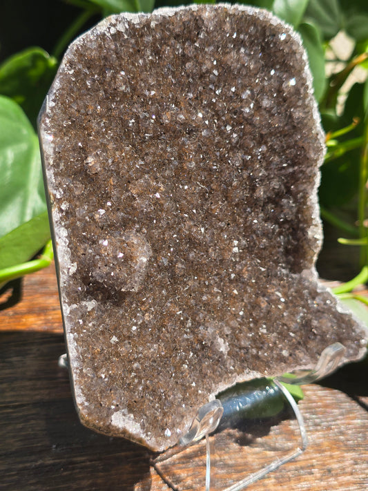 Brazilian Black/Brown Amethyst Plate