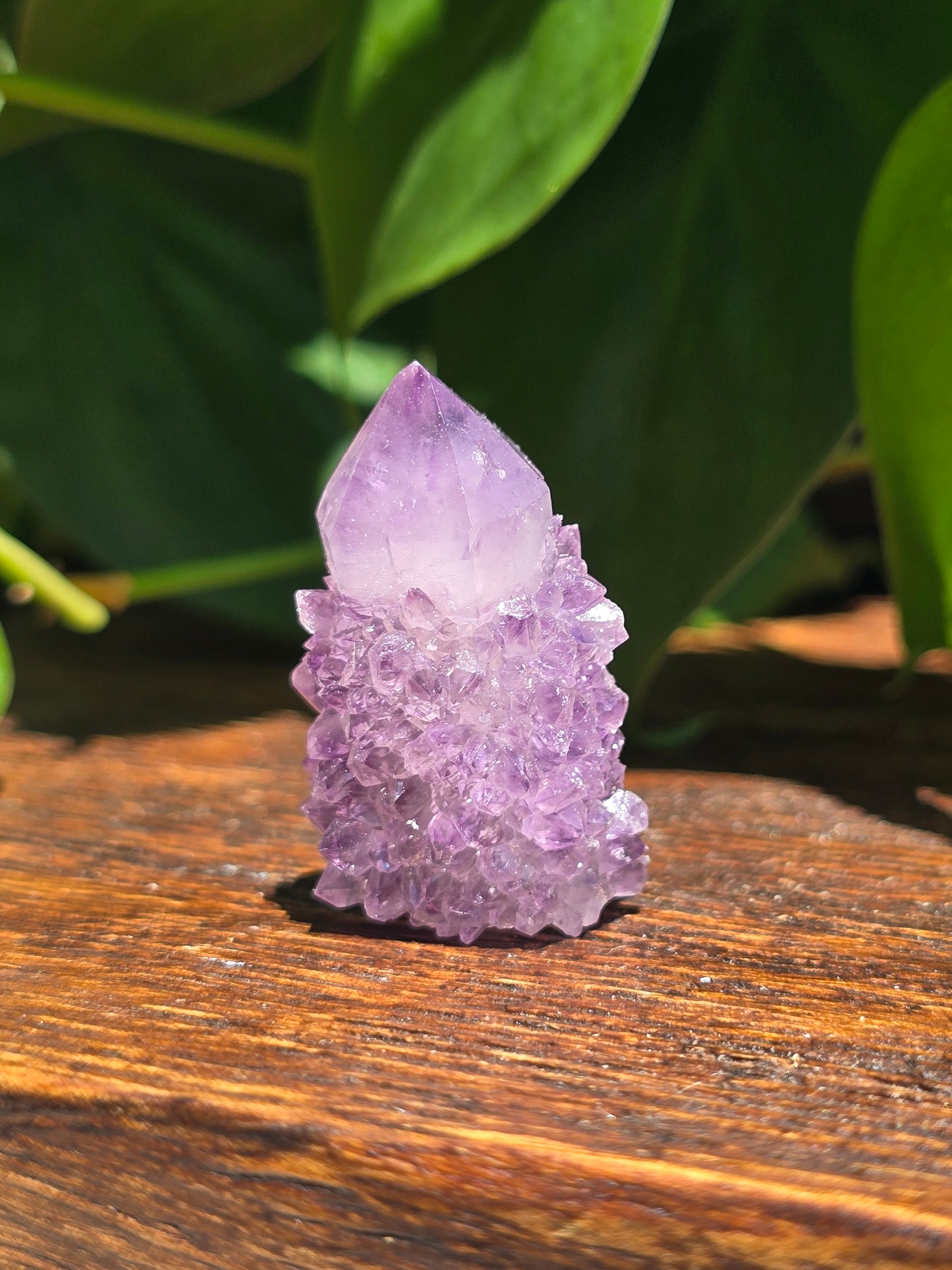 Amethyst Spirit Cactus Quartz Crystal Specimen "B"