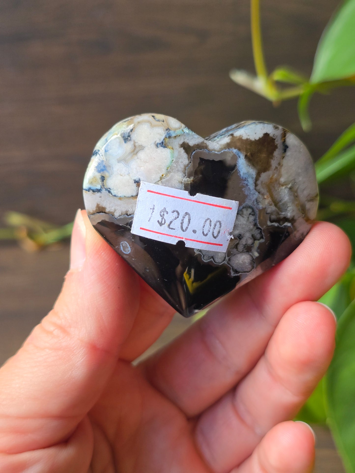 Black Flower Agate Heart