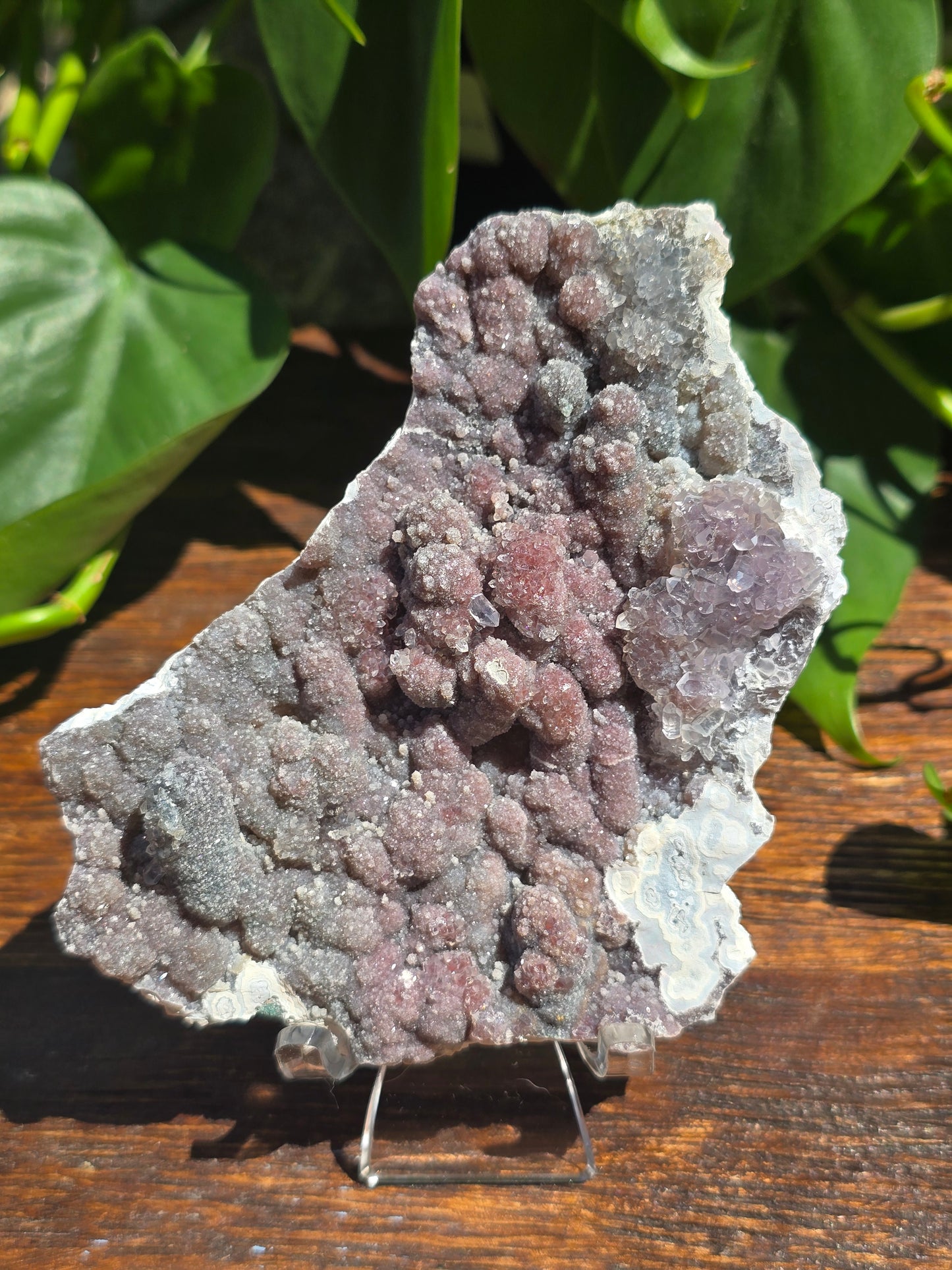 Brazilian Impression Amethyst Plate
